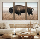 American Bison Wall Art Canvas Print – Majestic Buffalo