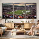 Chicago Bears Soldiers Field Wall Art Canvas Print – Framed