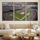 Chicago Bears Soldiers Field Wall Art Canvas Print – Framed