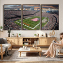 Chicago Bears Soldiers Field Wall Art Canvas Print – Framed