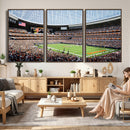 Chicago Bears Soldiers Field Wall Art Canvas Print – Framed
