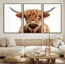 Scottish Highland Cow Canvas Print, Framed Highland Cow