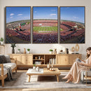 William Brice Stadium Wall Art Canvas Print – Stadium Crowd