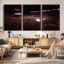 William Brice Stadium Wall Art Print – Baseball Game Room