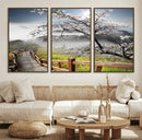 Sakura Cherry Blossom Pathway Canvas Wall Art – Tranquil