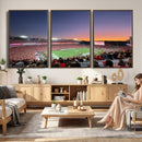 Dooley Stadium Wall Art, Sports Arena Canvas Print, Dooley