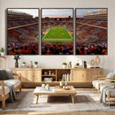 Tennessee Neyland Stadium Wall Art, Sports Arena Canvas by MyGreatCanvas | Canvas Wall Art Prints | Photo Prints & Wall Decor
