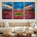 Tennessee Neyland Stadium Wall Art, Sports Arena Canvas by MyGreatCanvas | Canvas Wall Art Prints | Photo Prints & Wall Decor