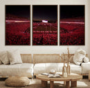 Dooley Stadium Wall Art, Sports Arena Canvas Print, Dooley by MyGreatCanvas | Canvas Wall Art Prints | Photo Prints & Wall Decor