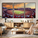 Dooley Stadium Wall Art, Sports Arena Canvas Print, Dooley