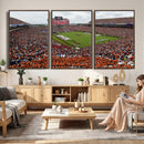 Jordan-Hare Stadium Wall Art Canvas Print, College Sports