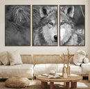 Wild Wolf Blue Eye Wall Art Canvas Print