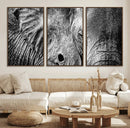 Wild Old Elephant Wall Art Canvas Print