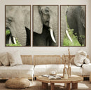 Wild Elephant Wall Art Canvas Print by MyGreatCanvas | Canvas Wall Art Prints | Photo Prints & Wall Decor