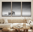 Elephand and Zebra Wall Art Canvas Print, Modern Artwork