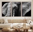 Big Elephant Close Up Wall Art Canvas Print