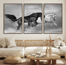 Wild Horses Wall Art Canvas Print – Framed Black and White