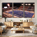 Boise State Stadium Large Wall Art Canvas Print for Living by MyGreatCanvas | Canvas Wall Art Prints | Photo Prints & Wall Decor