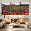 Auburn Stadium Wall Art Canvas Print, Jordan Hare Stadium by MyGreatCanvas | Canvas Wall Art Prints | Photo Prints & Wall Decor
