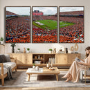 Auburn Stadium Wall Art Canvas Print, Jordan Hare Stadium