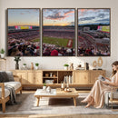 Donald W. Reynolds Razorback Stadium Wall Art Canvas Print –