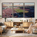 Ole Miss Rebels Vaught Hemingway Stadium Wall Art Canvas