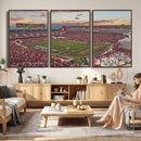 Donald W. Reynolds Razorback Stadium Wall Art Canvas Print –