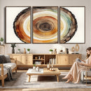 Natural Wood Slice Wall Art Canvas Print, Tree Ring Wall by MyGreatCanvas | Canvas Wall Art Prints | Photo Prints & Wall Decor