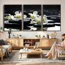 Plumeria Frangipani Black Stone Canvas | White Flower Spa by MyGreatCanvas | Canvas Wall Art Prints | Photo Prints & Wall Decor