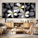Plumeria Frangipani Black Stone Canvas | White Flower Spa by MyGreatCanvas | Canvas Wall Art Prints | Photo Prints & Wall Decor