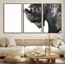 Black and White Grizzly 399 Bear Canvas Print Wall Art | by MyGreatCanvas | Canvas Wall Art Prints | Photo Prints & Wall Decor