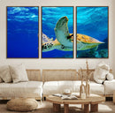 Sea Turtle Wall Art Canvas Print, Sea life in the Ocean Wall