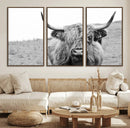Newfoundland Cow Art Wall Art, Black White Cow Art Wall Art