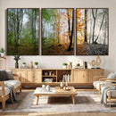 Four Seasons Wall Art Forest Canvas Print – Triptych