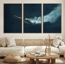 Swimmer Wall Art Canvas Print