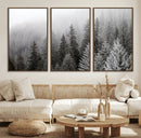 Big Foggy Forest and Misty Trees Forest Wall Art Canvas by MyGreatCanvas | Canvas Wall Art Prints | Photo Prints & Wall Decor