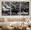 Mighty Angel Oak Wall Art | Angel Oak Tree Art Print by MyGreatCanvas | Canvas Wall Art Prints | Photo Prints & Wall Decor