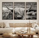 Cow Focus Canvas Wall Art Print by MyGreatCanvas | Canvas Wall Art Prints | Photo Prints & Wall Decor