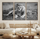 King Forest Lion Wall Art Canvas Print – Framed Majestic by MyGreatCanvas | Canvas Wall Art Prints | Photo Prints & Wall Decor