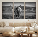 Fluffy Cattle Wall Art Print, Highland Cow Canvas, Framed by MyGreatCanvas | Canvas Wall Art Prints | Photo Prints & Wall Decor