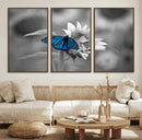 Blue Butterfly Black and White Canvas Wall Art by MyGreatCanvas | Canvas Wall Art Prints | Photo Prints & Wall Decor