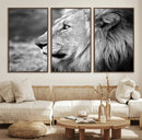 Lion Wall Art Canvas Print – Framed Majestic Wildlife by MyGreatCanvas | Canvas Wall Art Prints | Photo Prints & Wall Decor