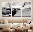 Cattle Wall Art Longhorn Cow Canvas Print