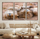Lion Pair Wall Art Canvas Print – Framed Wildlife Scene with