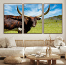 Longhorn and Cow Wall Art, Country Cow Wall Decor Canvas by MyGreatCanvas | Canvas Wall Art Prints | Photo Prints & Wall Decor