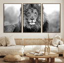 Black and White Lion Canvas Wall Art – Animal Print Artwork