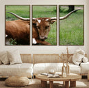 Longhorn Cow Animal Wall Art Canvas Print by MyGreatCanvas | Canvas Wall Art Prints | Photo Prints & Wall Decor
