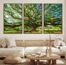 Majestic Oak Tree Wall Art – Serene Nature Canvas Print with
