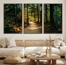 Sunlit Forest Pathway Canvas Print | 3 Panel Large Nature by MyGreatCanvas | Canvas Wall Art Prints | Photo Prints & Wall Decor