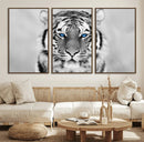 Tiger Canvas Artwork Wall Art Print